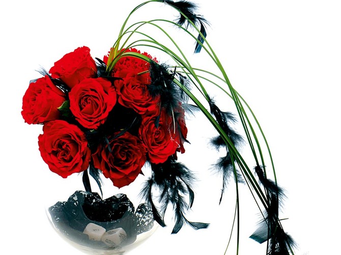 23555_teleflora-0006-foto-vladislav-mitic