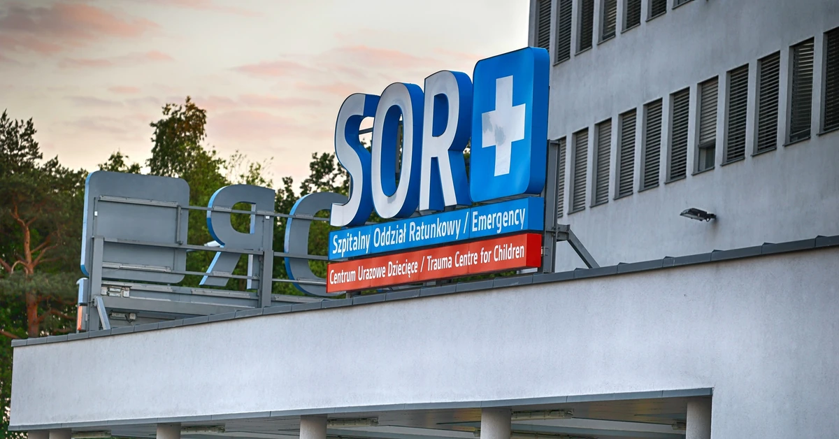 Sanepid alarmuje po tragedii na Warmii. Uważaj, co zbierasz w lesie i na łące