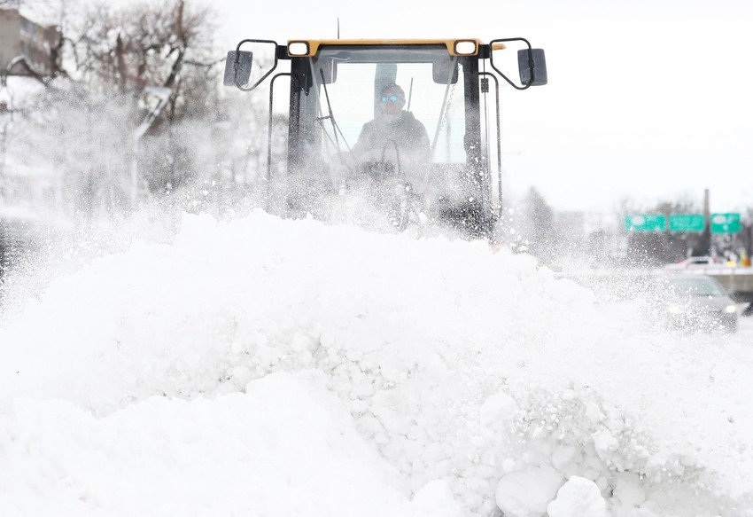 Bafalo nakon mećave