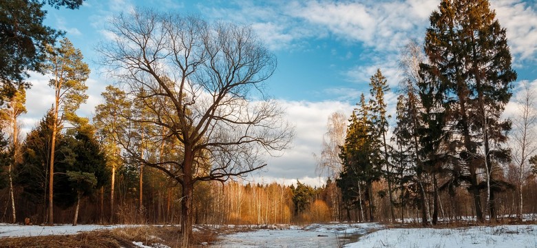 Nagle zrobi się wyjątkowo ciepło. Będzie wzrost nawet o około 25°C