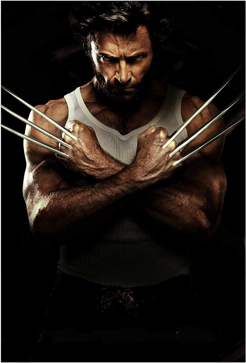 Wolverine w kwietniu 2009 roku