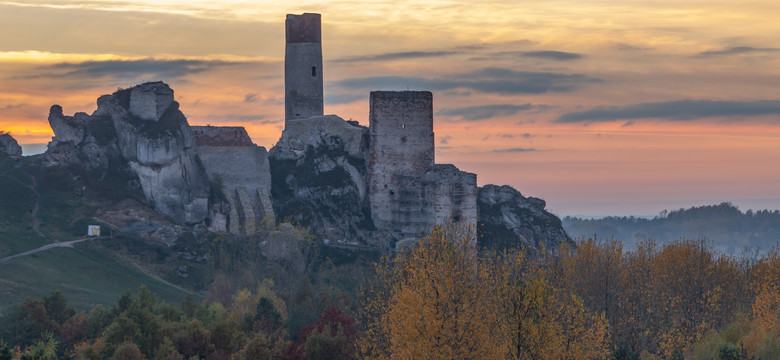 Jurajskie tajemnice. Mumia, wykałaczka neandertalczyka i śmierć głodowa w lochu