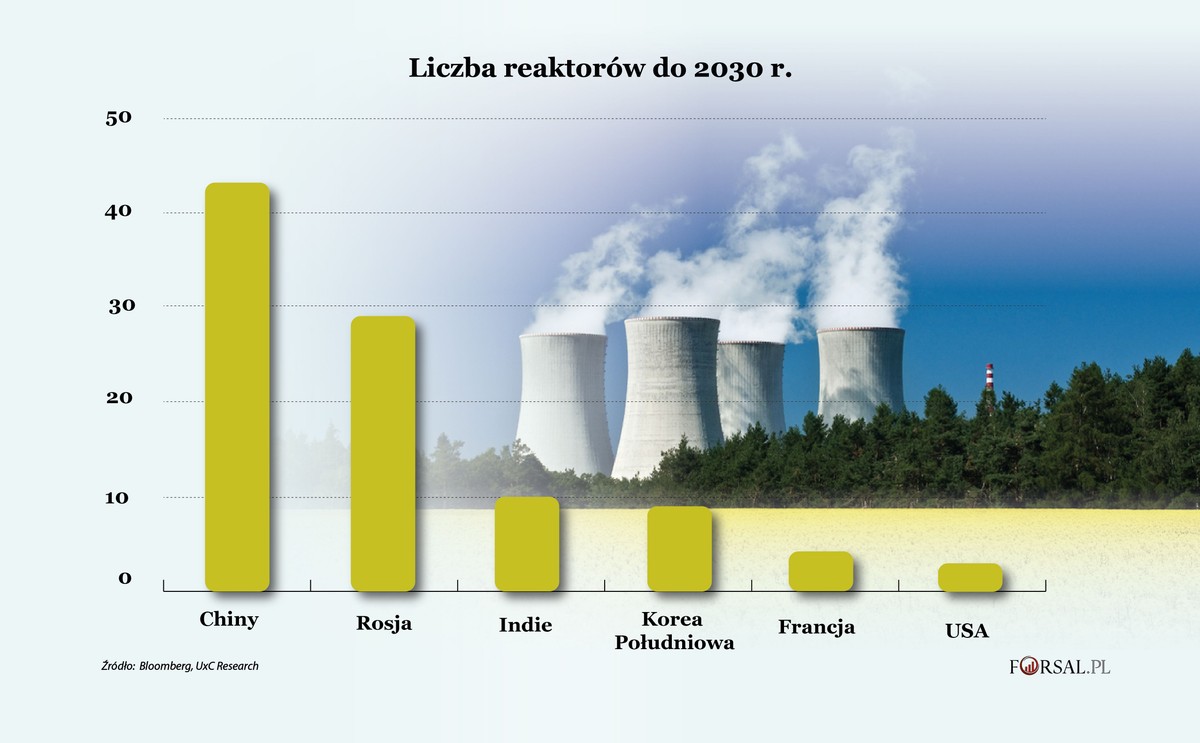 Liczba reaktorów w 2030 r, w wybranych krajach