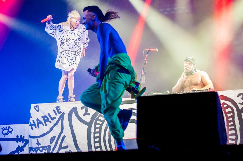 Open'er Festival 2015: Die Antwoord