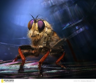 Zobacz najlepsze zdjęcia 8. Wielkiego Konkursu Fotograficznego National Geographic Polska