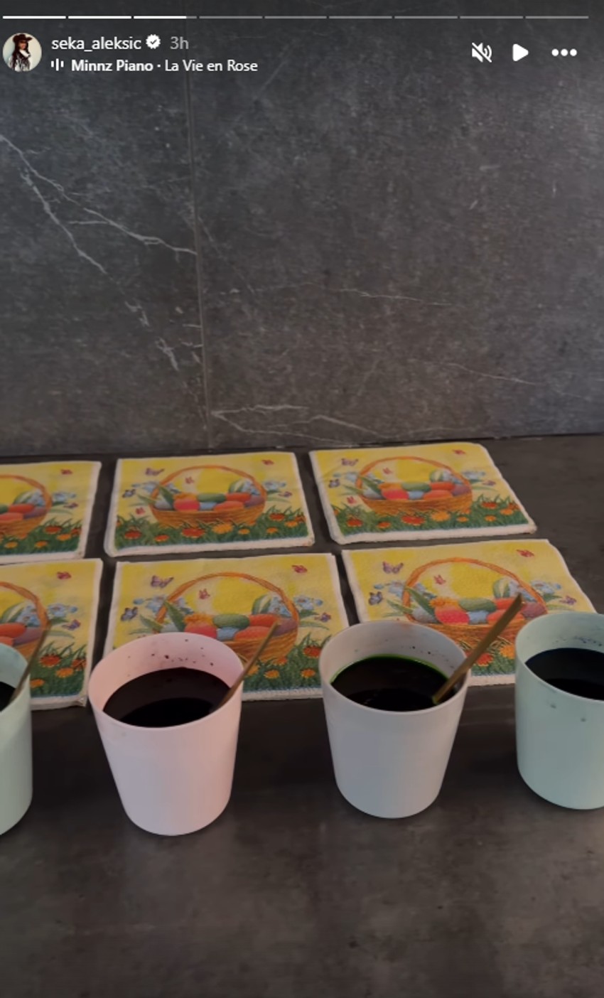 Seka Aleksić objava