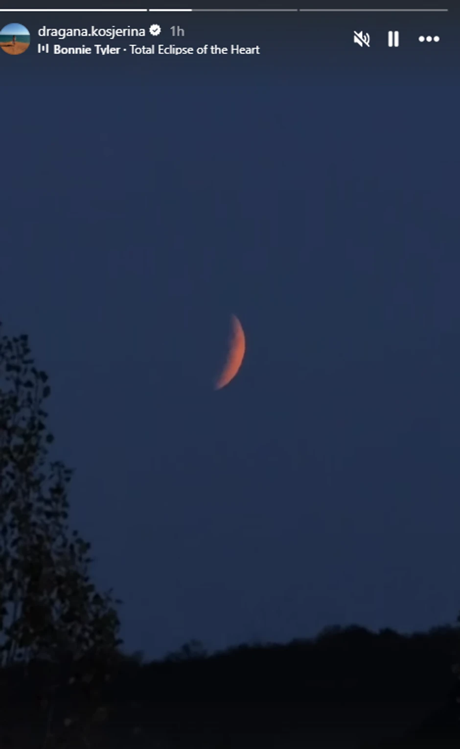 Dragana Kosjerina objava