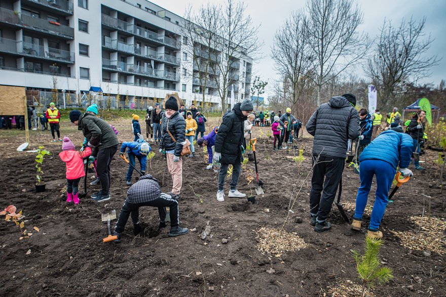 Jedną z wymienianych inicjatyw przez Szymona Bujalskiego w książce jest las kieszonkowy nadzorowany przez Kaspra Jakubowskiego