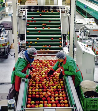 Takich owoców współpracy nikt się nie spodziewał