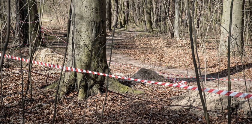 Ludzki szkielet w lesie na Podlasiu. Przy szczątkach znaleziono zdjęcie mężczyzny