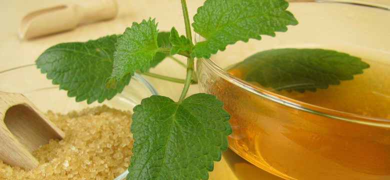 Ta herbatka ziołowa Melisa może być zagrożeniem dla zdrowia. GIS ostrzega