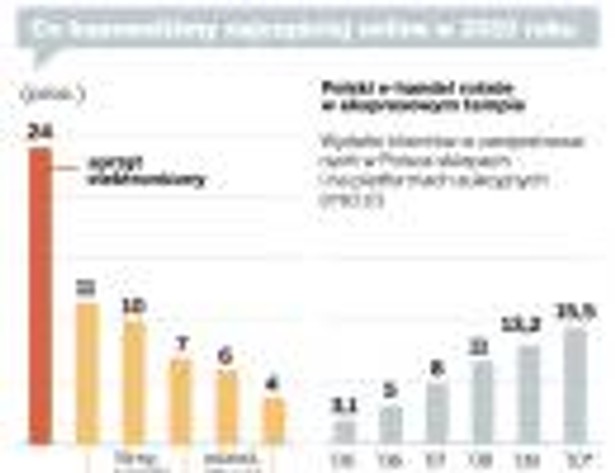 Co kupowaliśmy najczęściej online w 2010 roku