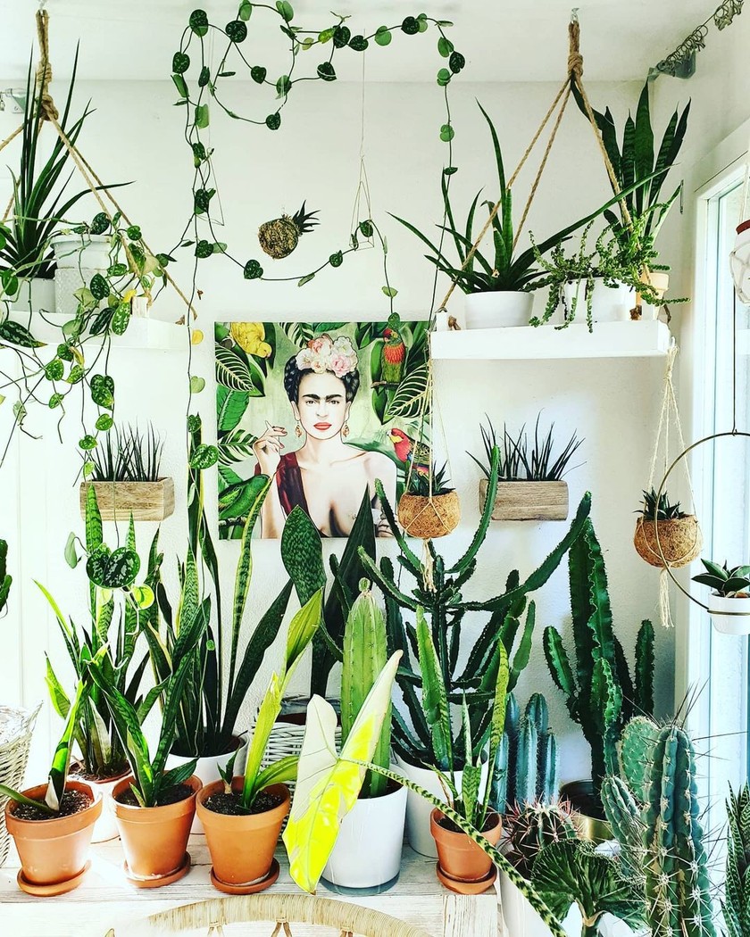 Mee Schmid, Plantlady, ajoute à tout ce vert une peinture de Frida Kahlo. 