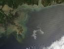 Zdjęcie satelitarne NASA pokazujące plamę ropy wydobywającą się z platformy Deepwater Horizon