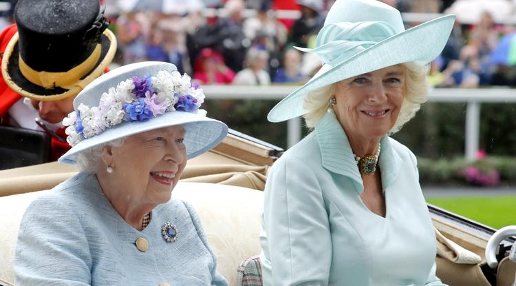 Így emlékszik Kamilla királyné Erzsébet királynőre Fotó: Getty Images