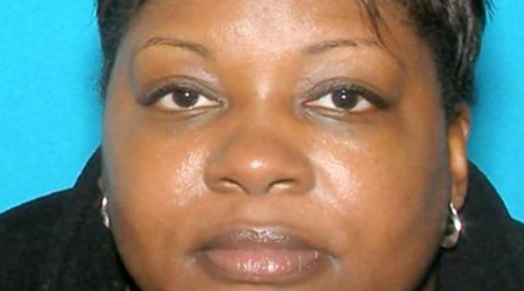 Elaine B. Goodman megúszta felfüggesztett börtönbüntetéssel /  Fotó: Smyrna Police Department
