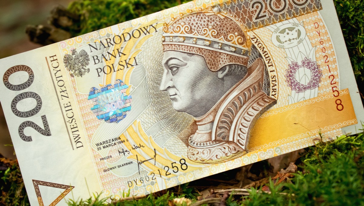 złoty, złotówki, waluta, las