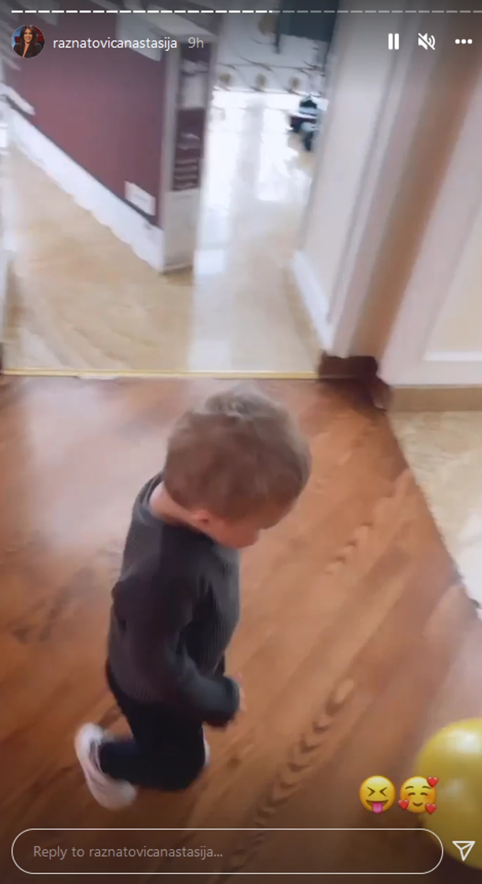 Željko Ražnatović 