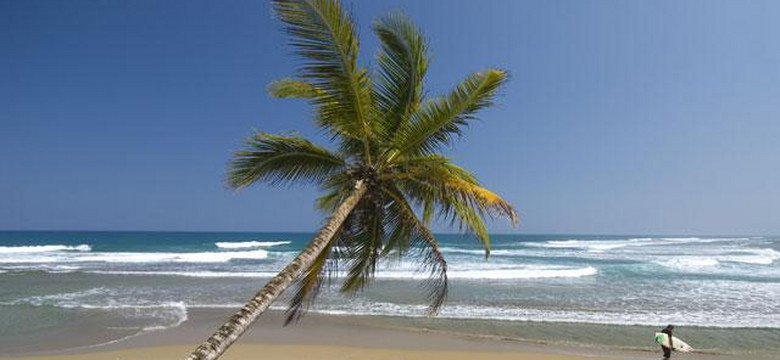 Zima pod palmami: Dominikana