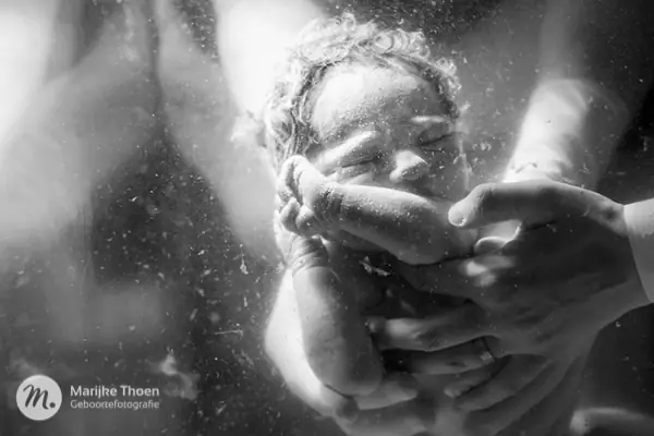 Marijke Thoen Geboortefotografie / IAPBP