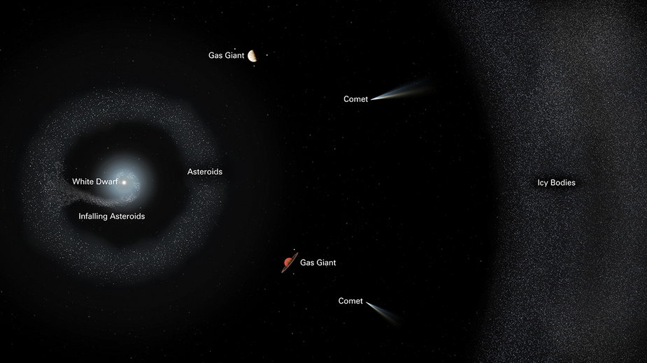 Biały karzeł G238-44 i słabo widoczny dysk akrecyjny. Asteroidy i pozostałości planet tworzą zewnętrzny pierścień dysku. W układzie mogły przetrwać gazowe olbrzymy. Znacznie dalej znajduje się pierścień obiektów lodowych, jak komety, które z czasem też są pochłaniane przez gwiazdę