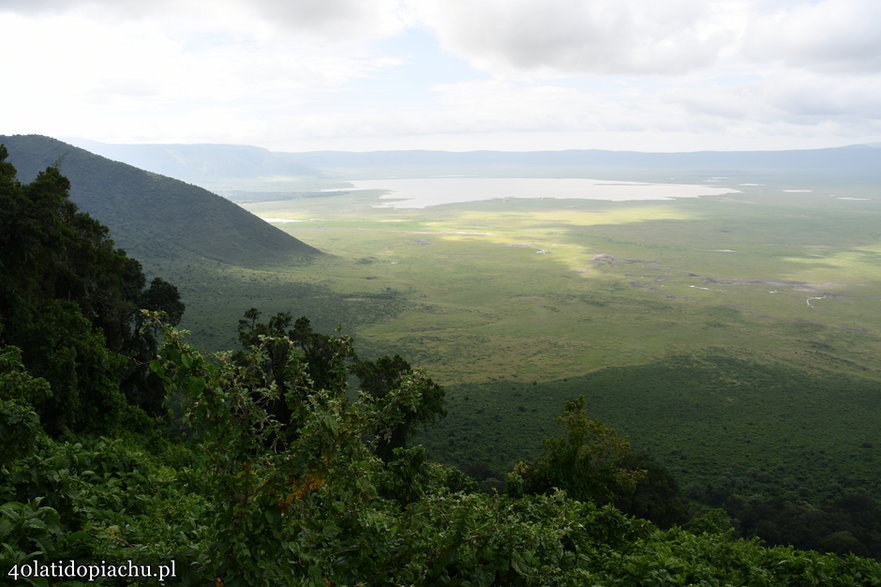 Nasze bociany i ich afrykańscy sąsiedzi podczas zimowania w kraterze Ngorongoro