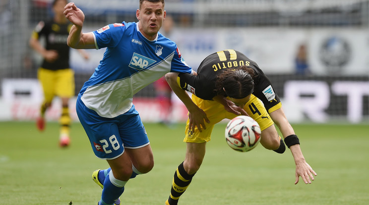 Szalai Ádám távozik a Hoffenheimtől / Fotó: Europress-GettyImages