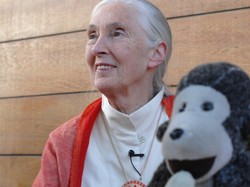 Tych dokumentów nie możesz przegapić