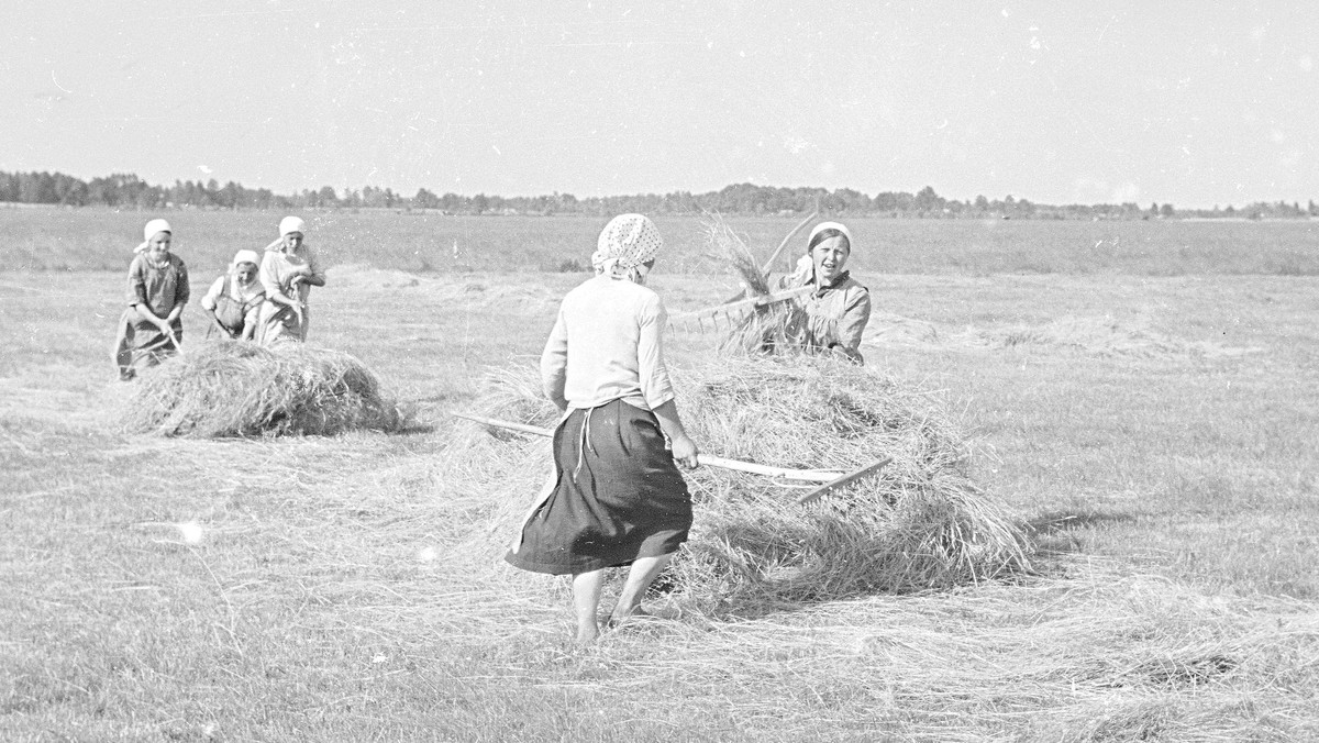 Polska wieś, lata 30. Kobiety podczas sianokosów.