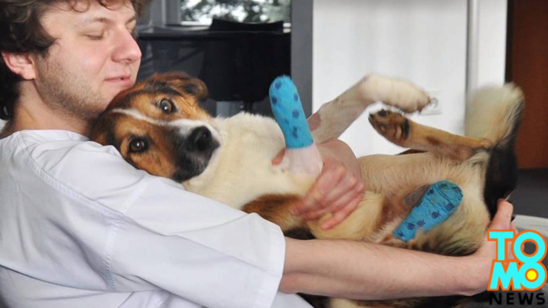 Cudem uratowany pies zyskał drugie życie. O Foreście z Przemyśla mówią nawet amerykańskie media
