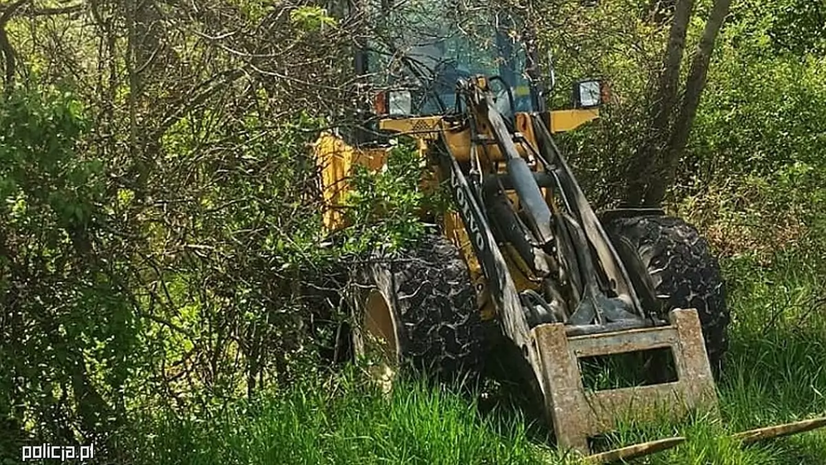 Budowlana ładowarka w lesie