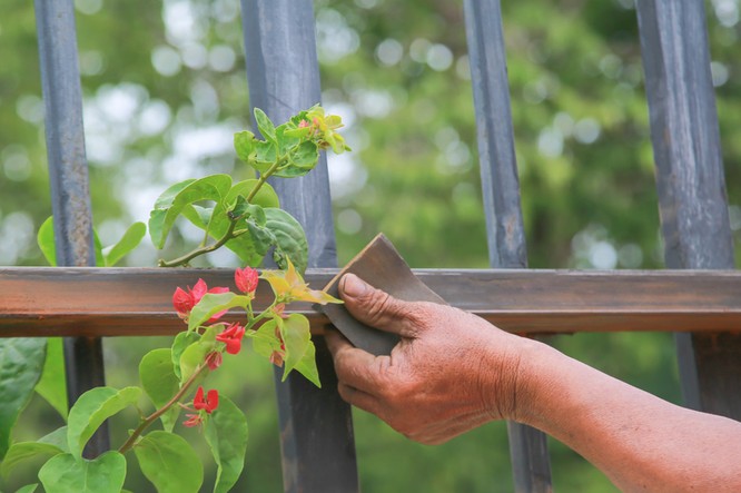 shutterstock 1581847504