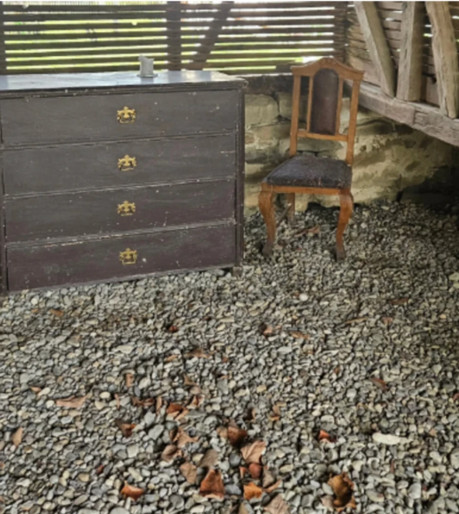 Mirjana Bobić Mojsilović kuća na selu