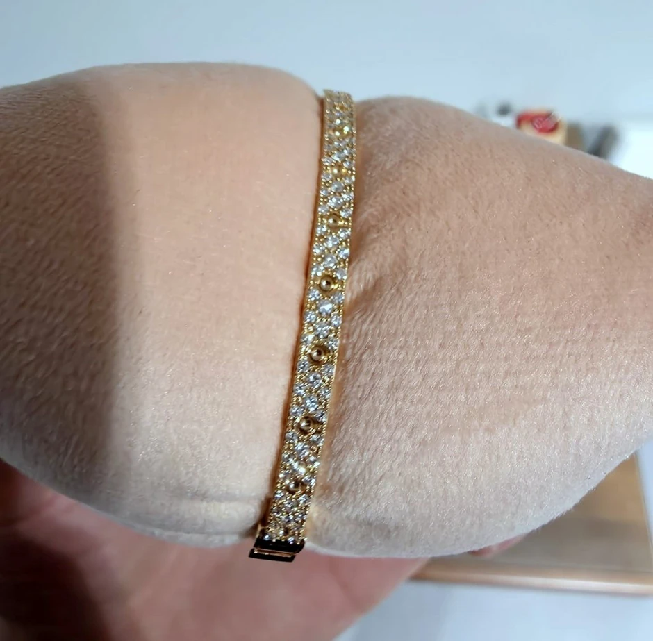 Zaplene na graničnom prelazu Bački Breg i Aerodromu Nikola Tesla