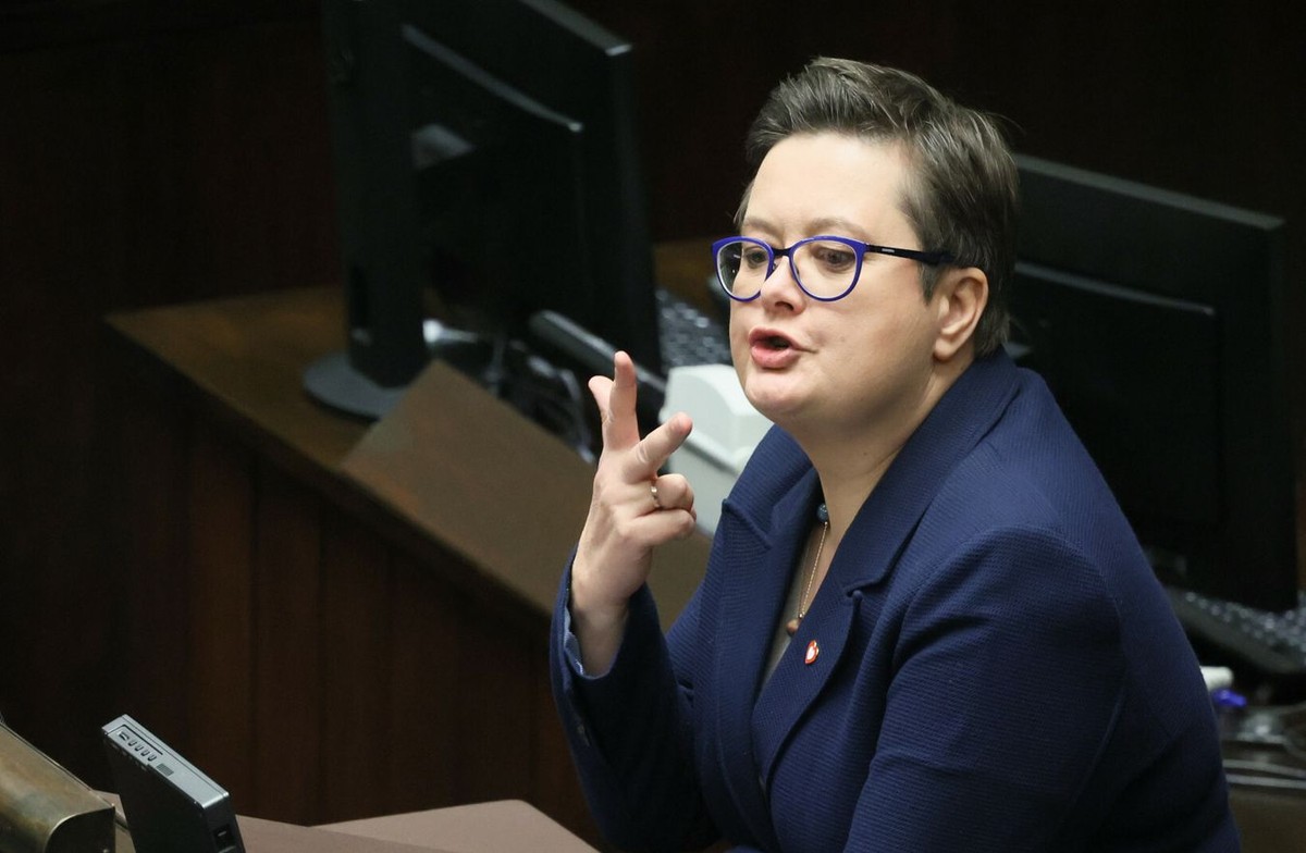 Katarzyna Lubnauer, wiceministerka MEN
