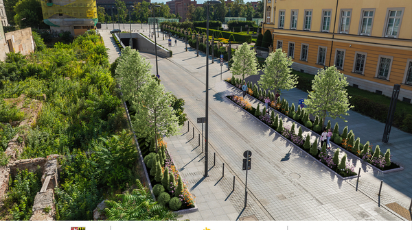 Tak ma wyglądać ulica Zamkowa po dodaniu zieleni