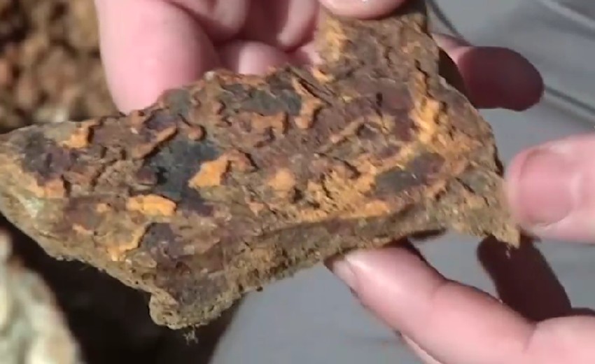 U neposrednoj blizini otkriveni su tragovi 215 topionica