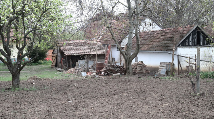 A szívtelen anya a ház mögött ásta el gyermekét/ Fotó: Isza Ferenc