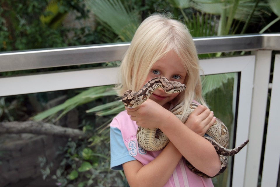 WARSZAWA ŚWIATOWY DZIEŃ ZWIERZĄT ZOO