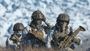 jest wspólna deklaracja ośmiu krajów europejskich, którym trump grozi