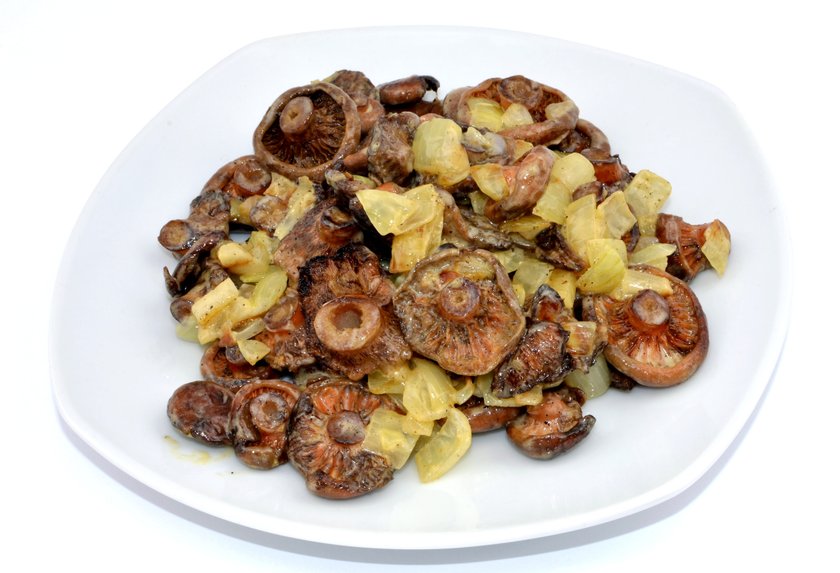 Najlepsze przepisy na grzyby. Co z czym łączyć?