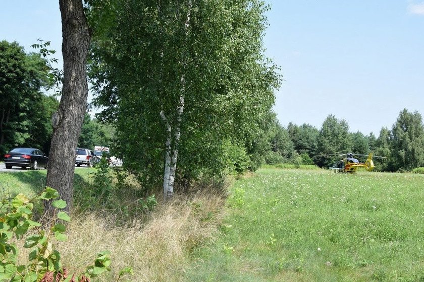 Tir zderzył się z osobówką. Nie żyją cztery osoby, w tym dwoje dzieci