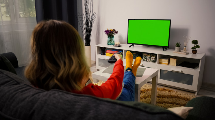 A felmérésből kiderült, hogy a háztartások több mint 90 százalékának van televízió az otthonában, amelyet akitöltők 20 százaléka naponta legalább egy-két órát, szintén 20 százalék két-három órát, 18 százalék pedig ötóránál is többet használ / Fotó: Northfoto