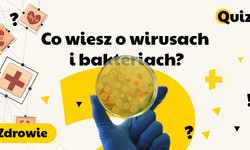 Co ty wiesz o wirusach i bakteriach? Już pierwsze pytanie może cię pokonać [QUIZ]