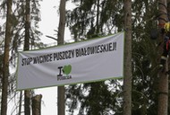 Puszcza Białowieska Protest ekologów z Greenpeace i fundacji Dzika Polska