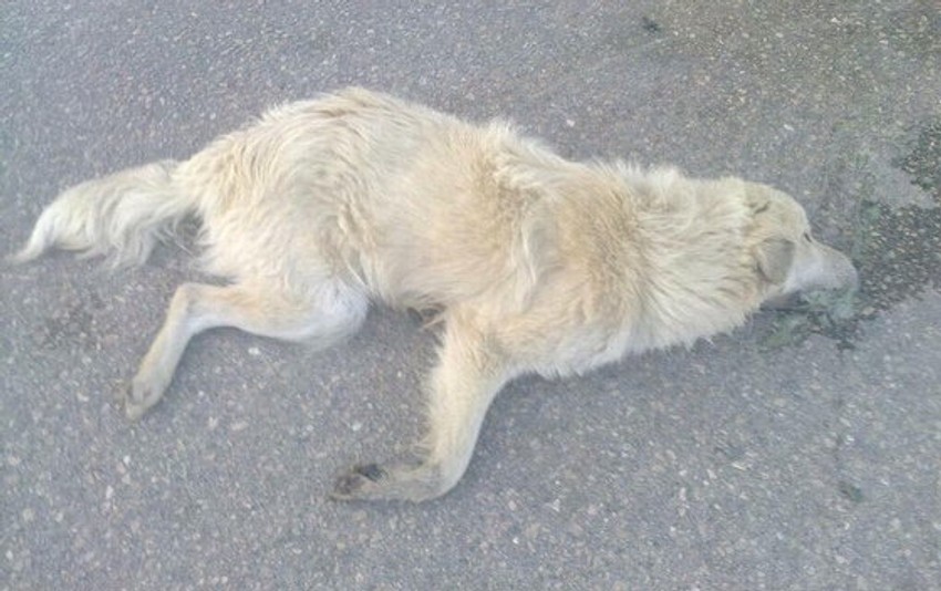 Foto: Čitaoci "Vijesti"