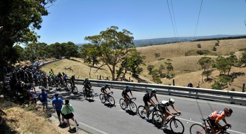 Richie Porte leads the peloton in the iconic Willunga Hill stage of the Tour Down Under.