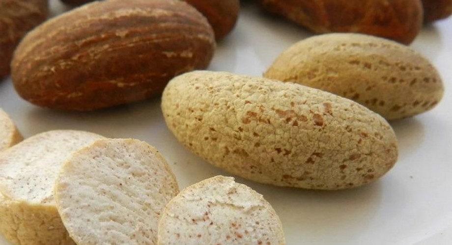 Bitter Kola The 7 health benefits of this plant are incredible Pulse