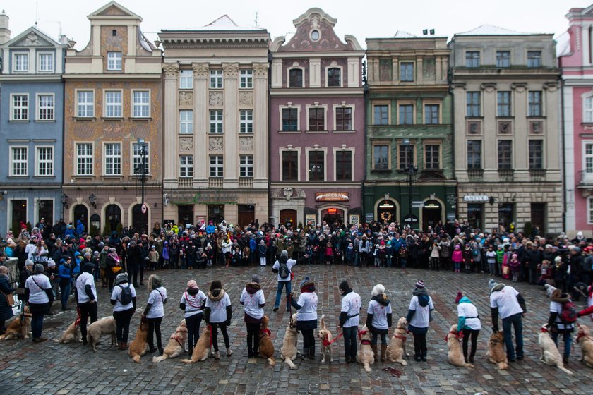 25. finał WOŚP w Poznaniu