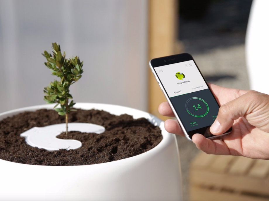 Bios Urn is rethinking the way we bury our dead with a way to grow trees from cremated human remains. The company hopes to one day replace cemeteries with forests.